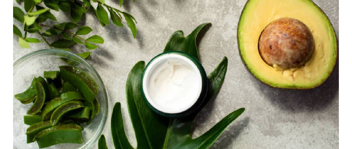 Recipe for Creating an Avocado and Aloe Face Cream